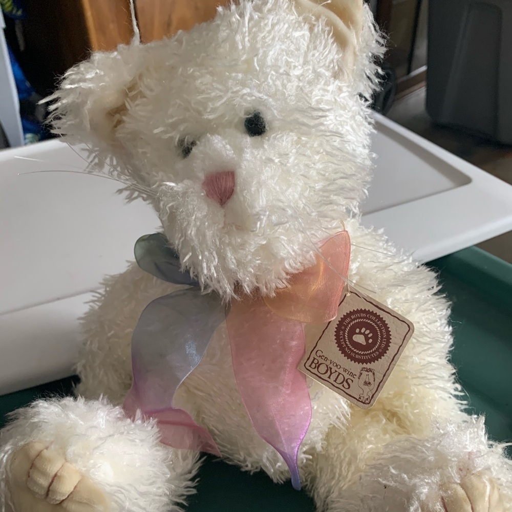 Boyd’s bear